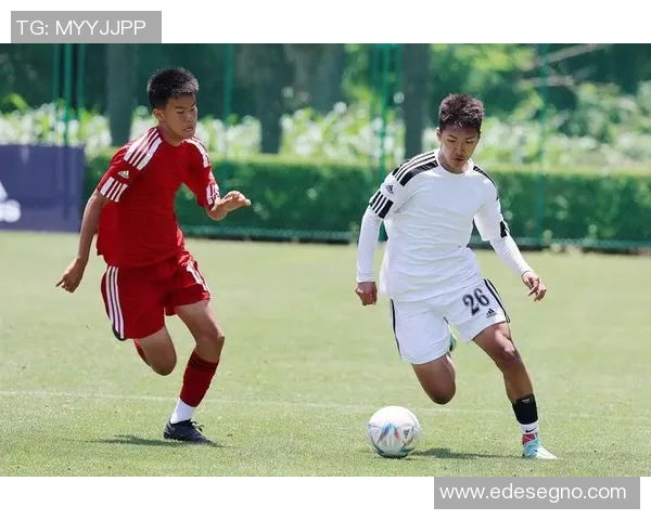 上海足球队逆袭之旅揭秘：从低谷到巅峰的奋斗与荣耀