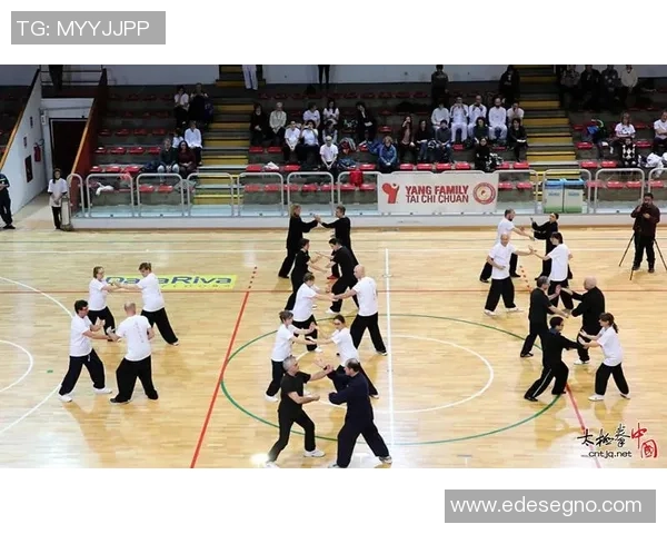 对话杨军：回顾排球生涯的辉煌与挑战与未来展望