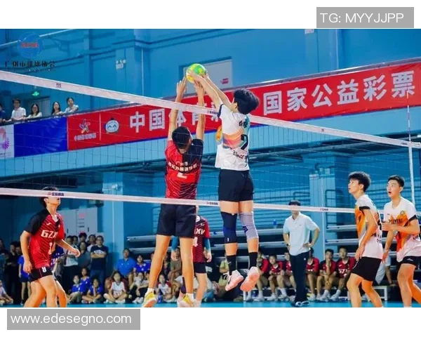 广州排球队在奥运会上的技术表现分析与点评