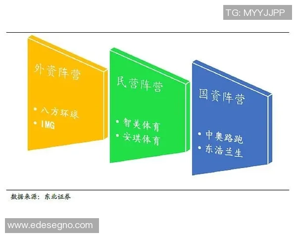 成都篮球队的比赛节奏分析与其他球队的深度对比研究 成都篮球队的比赛节奏分析与其他球队的深度对比研究