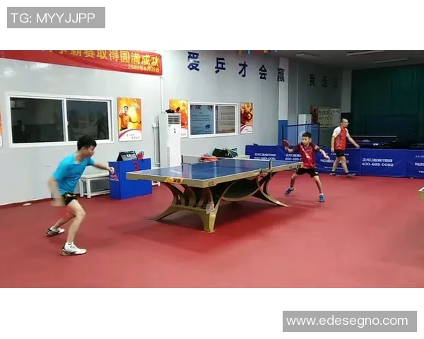 深圳乒乓球队比赛经验深度对比与启示分析